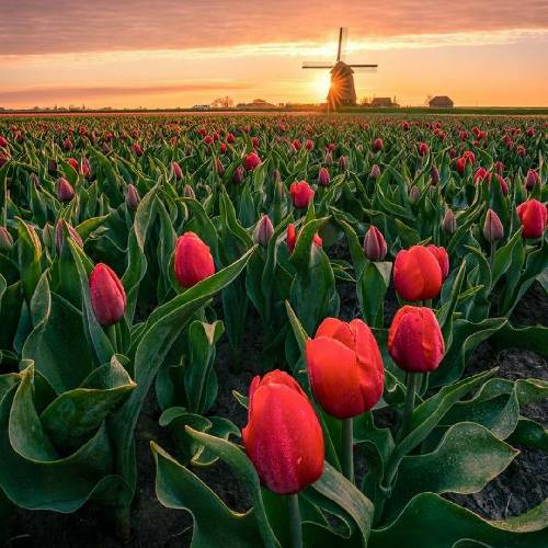 مجتبی ندیمی غرور من شکسته شد چی میخوای از من بسمه